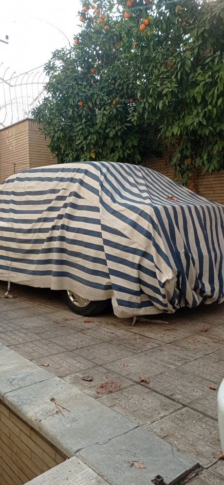 ویلایی