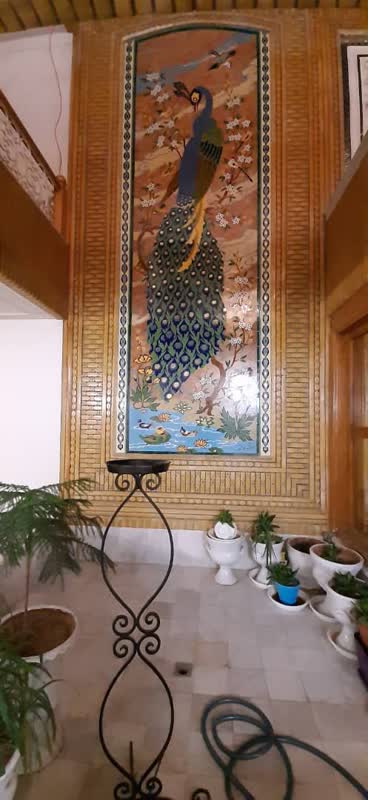 ویلایی