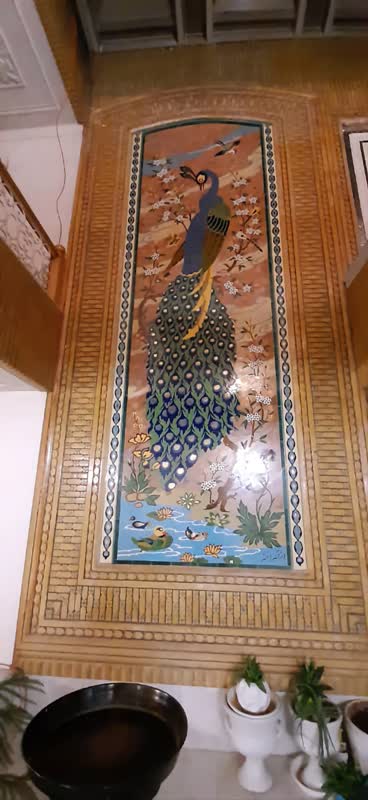 ویلایی
