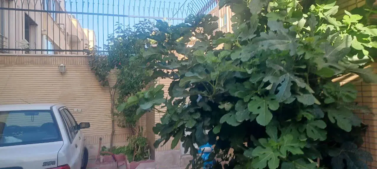 آپارتمان